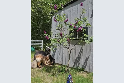 693 Goding Road, Acton, ME 04001 - Photo 41