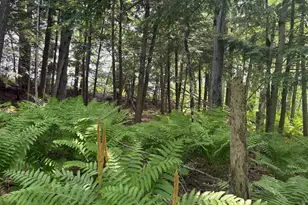 324 Village Rd, Smithfield, ME 04978 - Photo 31