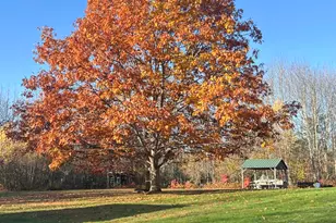 1568 Essex St, Bangor, ME 04401 - Photo 5