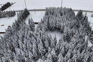 929 Access Hwy, Limestone, ME 04750 - Photo 7