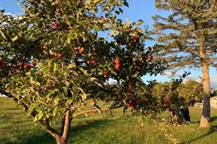 356 Range Rd, Atkinson, ME 04426 - Photo 51