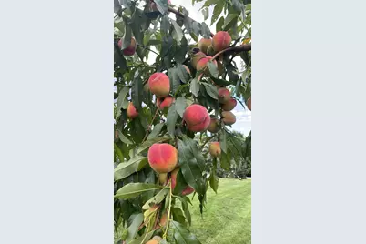 356 Range Road, Atkinson, ME 04426 - Photo 55