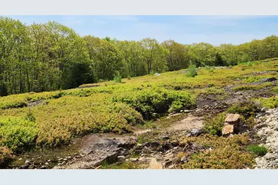 2 Whispering Berries Hill, Liberty, ME 04949 - Photo 3