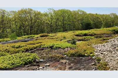 4 Whispering Berries Hill, Liberty, ME 04949 - Photo 3