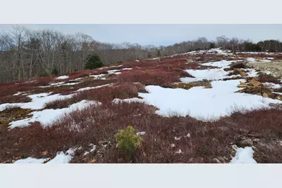 4 Whispering Berries Hill, Liberty, ME 04949 - Photo 15