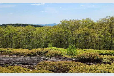 4 Whispering Berries Hill, Liberty, ME 04949 - Photo 7