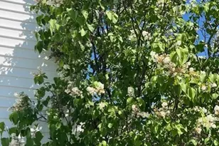 38 Kuvaja Rd, Greenwood, ME 04255 - Photo 57