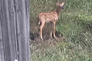 38 Kuvaja Rd, Greenwood, ME 04255 - Photo 55