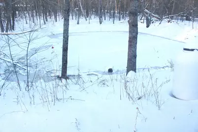 810 Rockland Street, Rockport, ME 04856 - Photo 29