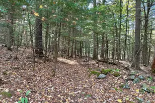 214 Desert Pond Rd, Mount Vernon, ME 04352 - Photo 65