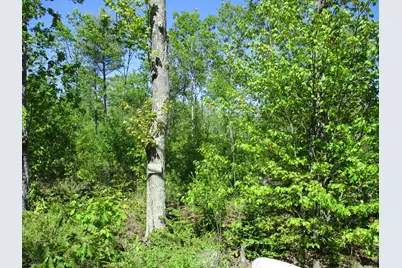 1641 Washington Road, Waldoboro, ME 04572 - Photo 5