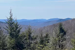 13 Moose Alley Rd, Temple, ME 04984 - Photo 1