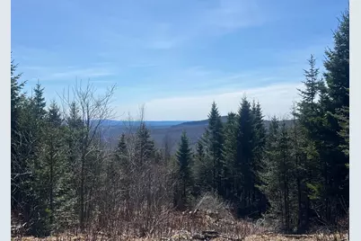 14 Moose Alley Road, Temple, ME 04984 - Photo 5