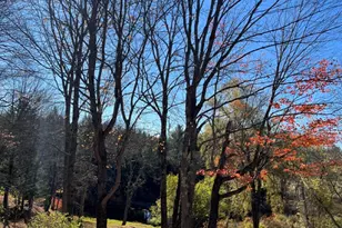 465 Carthage Rd, Carthage, ME 04224 - Photo 43