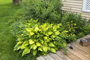 465 Carthage Rd, Carthage, ME 04224 - Photo 49