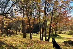 465 Carthage Rd, Carthage, ME 04224 - Photo 41