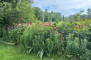 465 Carthage Rd, Carthage, ME 04224 - Photo 49