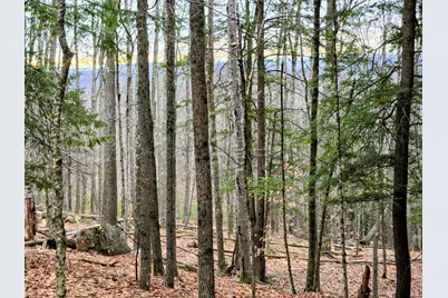 Lot 35 Moose Hill Road, Livermore Falls, ME 04228 - Photo 33