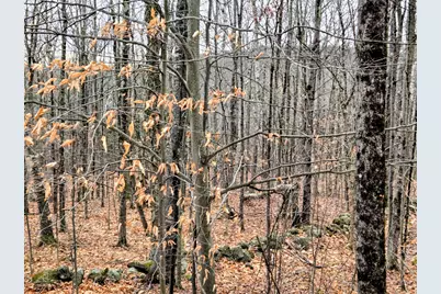 Lot 35 Moose Hill Road, Livermore Falls, ME 04228 - Photo 31