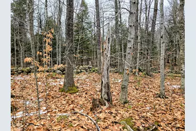Lot 35 Moose Hill Road, Livermore Falls, ME 04228 - Photo 39