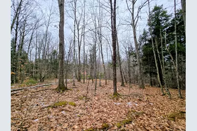 Lot 35 Moose Hill Road, Livermore Falls, ME 04228 - Photo 37