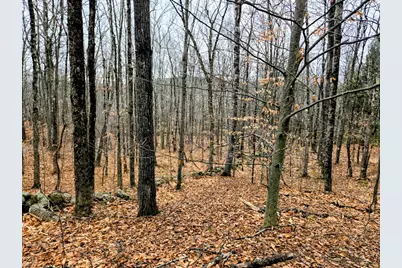 Lot 35 Moose Hill Road, Livermore Falls, ME 04228 - Photo 19