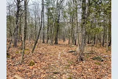 Lot 35 Moose Hill Road, Livermore Falls, ME 04228 - Photo 21