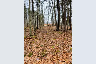 Lot 35 Moose Hill Road, Livermore Falls, ME 04228 - Photo 13