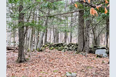 Lot 35 Moose Hill Road, Livermore Falls, ME 04228 - Photo 41