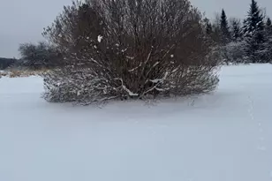 4269 Aroostook Rd, Winterville Plantation, ME 04739 - Photo 127