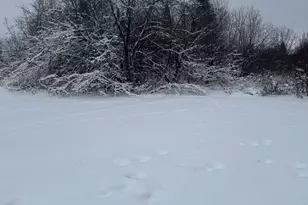 4269 Aroostook Rd, Winterville Plantation, ME 04739 - Photo 131