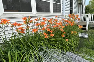 4269 Aroostook Rd, Winterville Plantation, ME 04739 - Photo 21