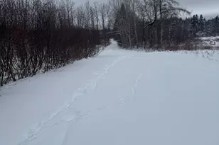 4269 Aroostook Rd, Winterville Plantation, ME 04739 - Photo 135