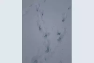 4269 Aroostook Road, Winterville Plantation, ME 04739 - Photo 123