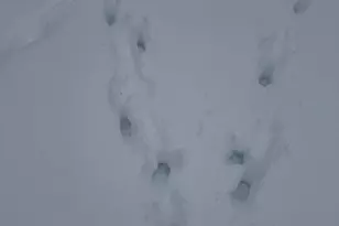 4269 Aroostook Rd, Winterville Plantation, ME 04739 - Photo 123