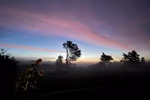 506 Baring St, Calais, ME 04619 - Photo 57