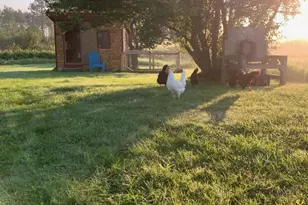 506 Baring St, Calais, ME 04619 - Photo 55