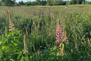 506 Baring St, Calais, ME 04619 - Photo 53