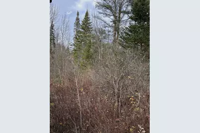 Tbd Log Cabin Road, Kennebunkport, ME 04046 - Photo 9