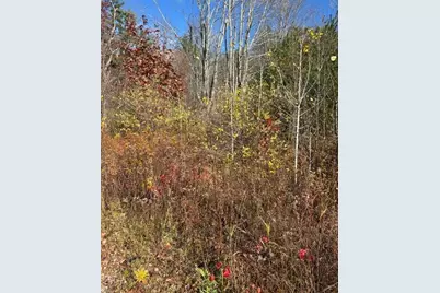 Tbd Log Cabin Road, Kennebunkport, ME 04046 - Photo 7