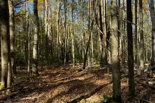 Tbd Log Cabin Rd, Kennebunkport, ME 04046 - Photo 1