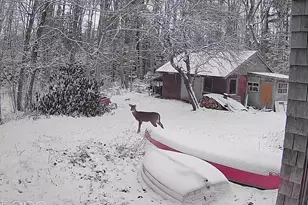 1188 ME-193, Deblois, ME 04622 - Photo 47