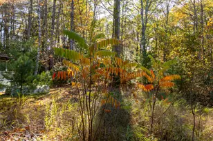 1188 ME-193, Deblois, ME 04622 - Photo 39