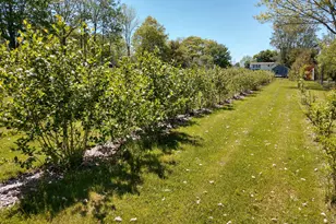 902 Dutch Neck Rd, Waldoboro, ME 04572 - Photo 71