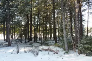 103 Thoroughfare Ln, Lincoln, ME 04457 - Photo 9