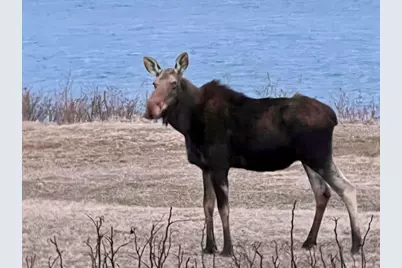 20 Easy Street, Lubec, ME 04652 - Photo 57