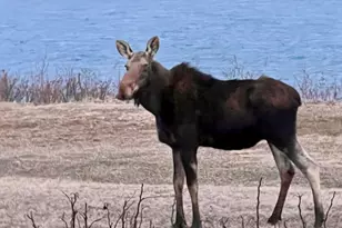 20 Easy St, Lubec, ME 04652 - Photo 57