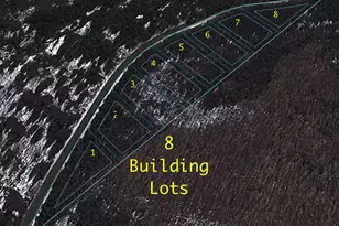 8_Lots Blaine School Rd, Fort Kent, ME 04743 - Photo 1