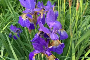 20 Harvest Ridge Rd, Freeport, ME 04032 - Photo 59