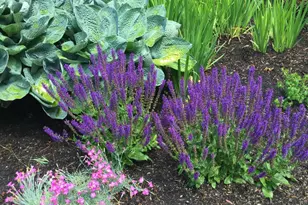 20 Harvest Ridge Rd, Freeport, ME 04032 - Photo 53